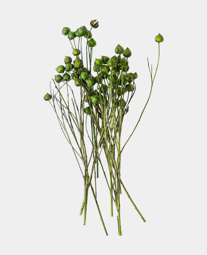 Lino Gras, Green, 3.2 g