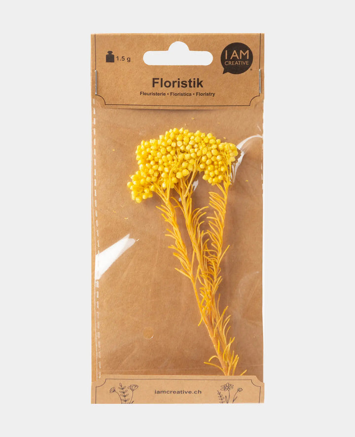 Helichrysum dried, Yellow, 1.5 g