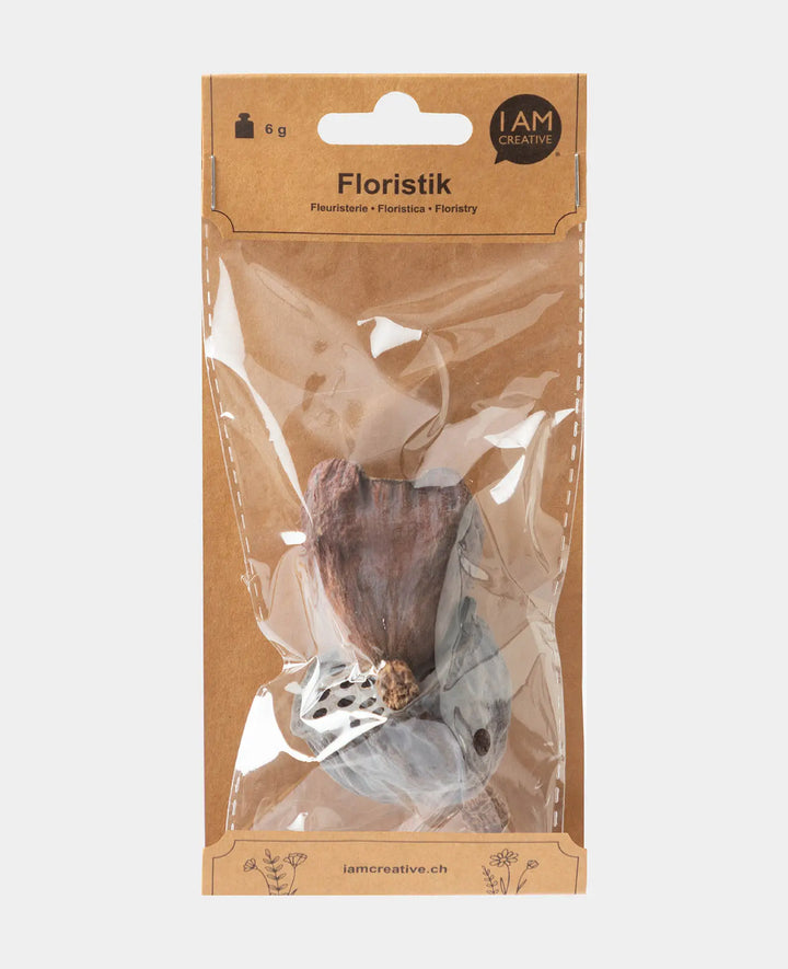 Dried Lotus Flowers, Natural Brown, 6 g