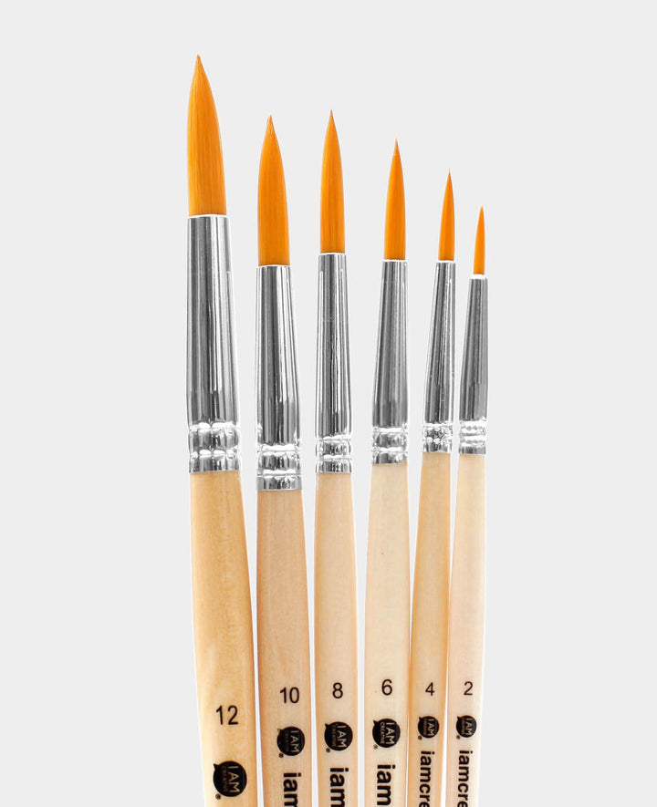 Universal Paint Brush Set – Artist Set with Round Brushes, 6 Pieces