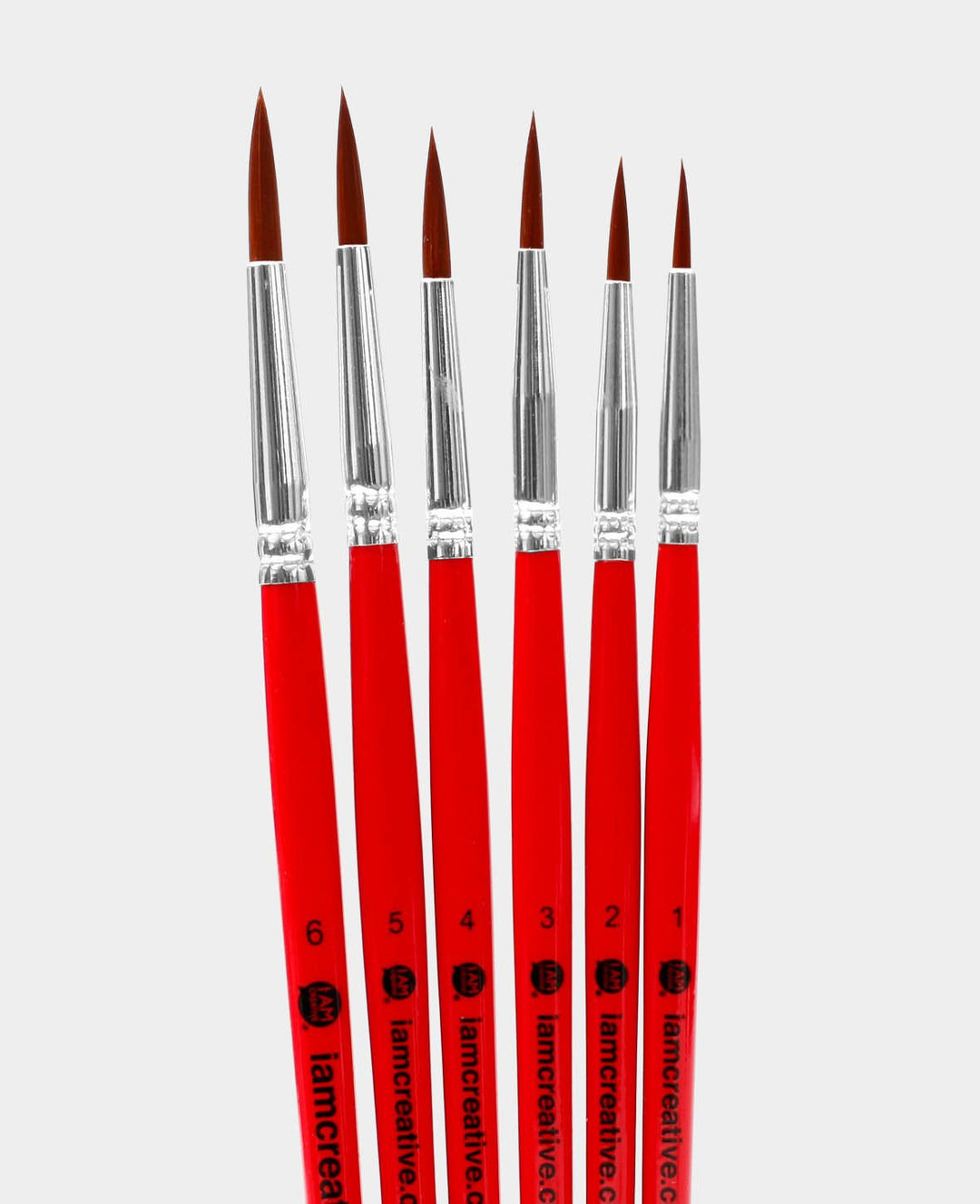 Universal Paint Brush Set – Artist Set with Round and Liner Brushes, 6 Pieces