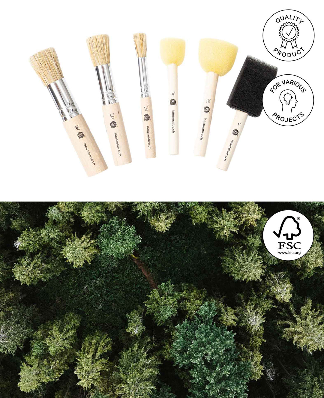 Ensemble de brosses à pochoir et de tampons-éponges, 6 pièces