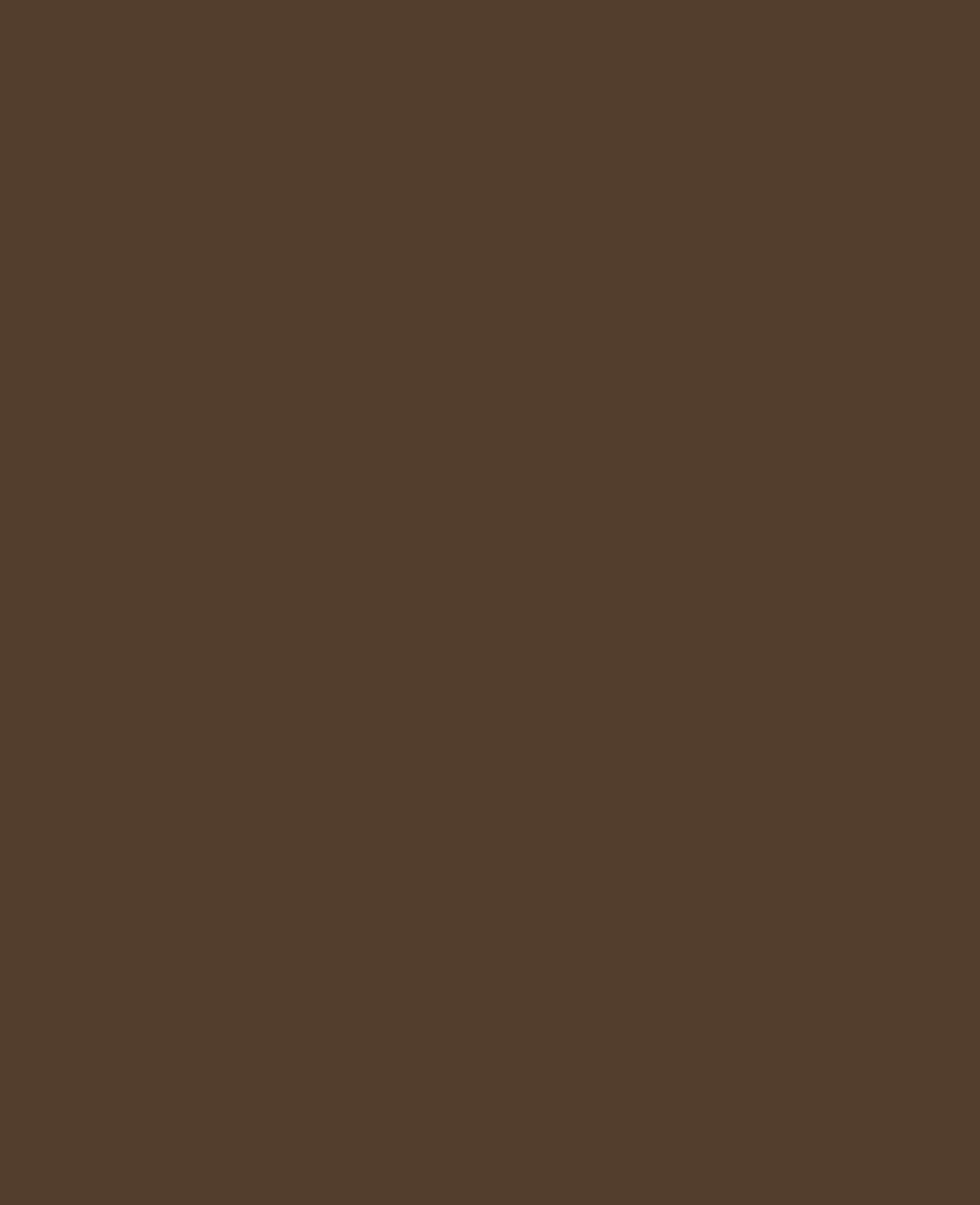 KREUL Glass &amp; Porcelain Paint Transparent / Espresso Brown, 20ml