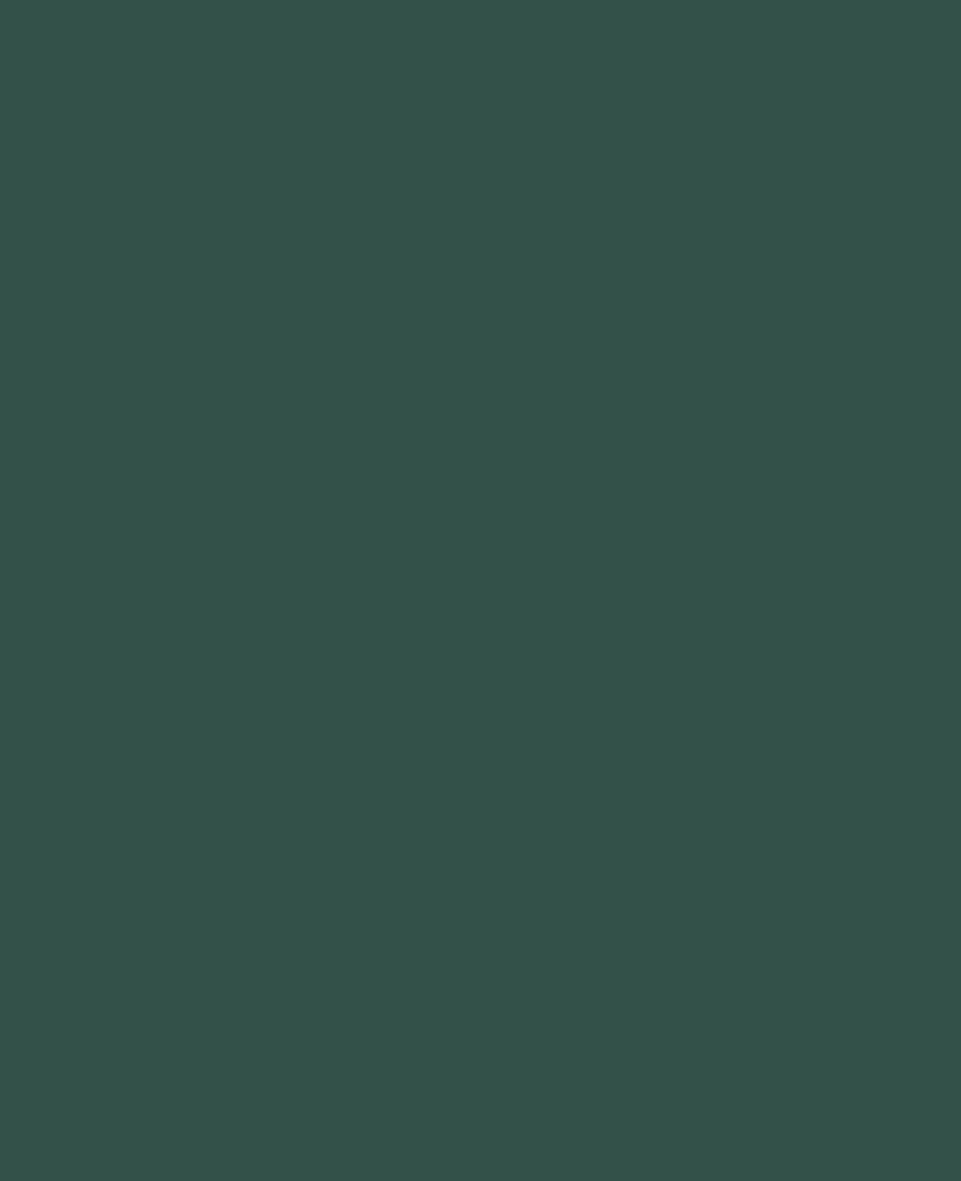 KREUL Peinture pour verre et porcelaine Chalky, Vert Cottage, 20 ml