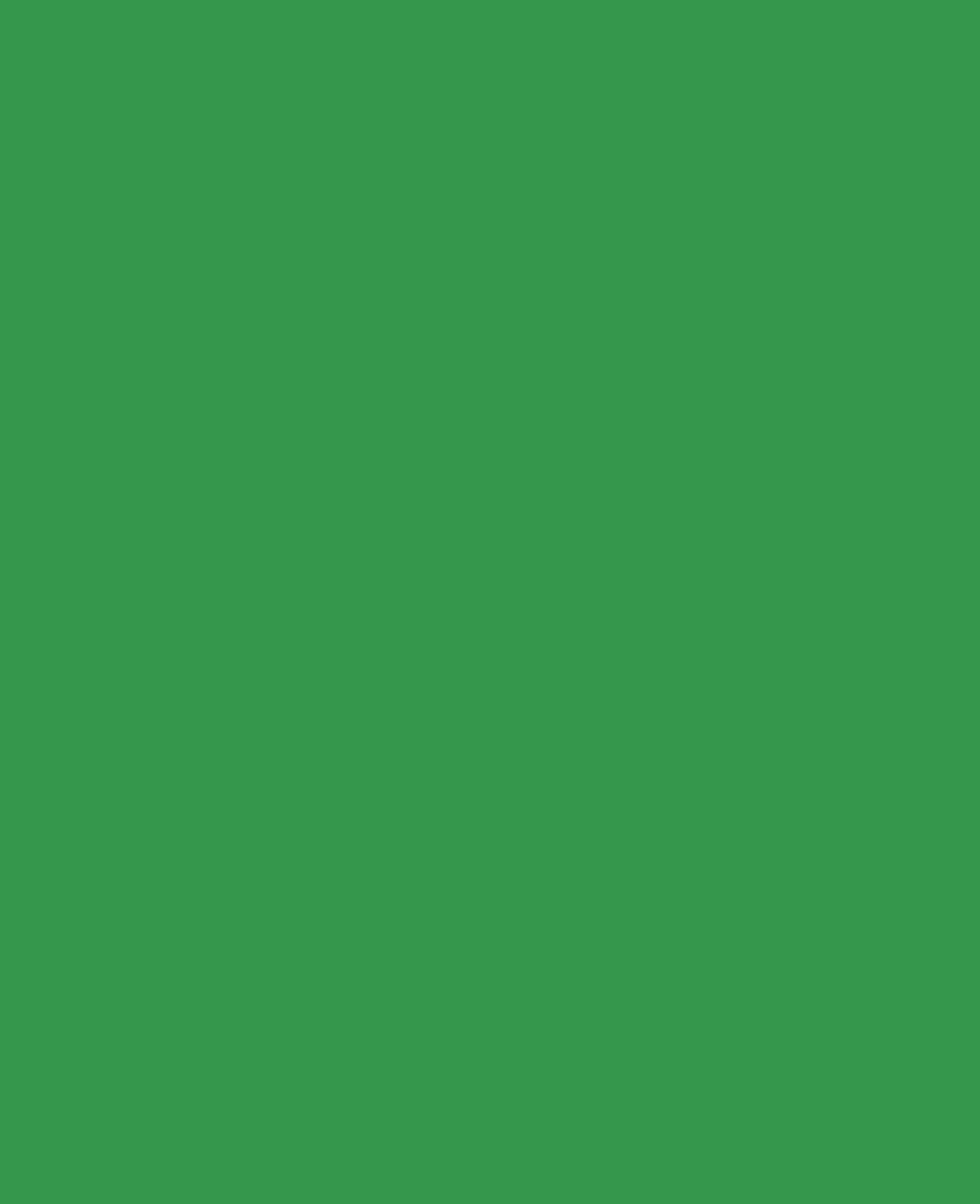 Triton Acrylic Liquid, water-based, Permanent Green, 750 ml