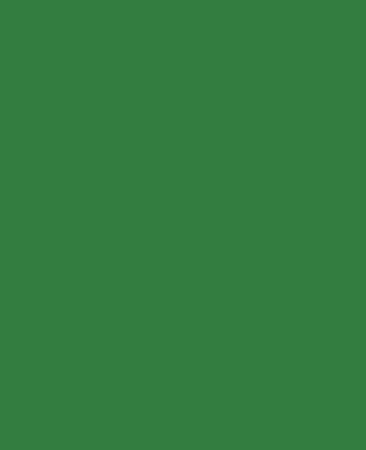Triton Acrylic Liquid, water-based, foliage green, 750 ml
