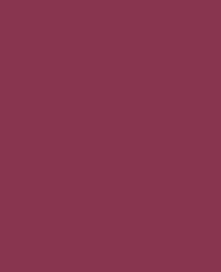 Triton Acrylic Liquid, auf Wasserbasis, Bordeaux, 750 ml