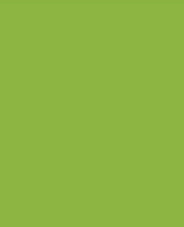 Triton Acrylic Liquid, water-based, Yellow Green, 750 ml