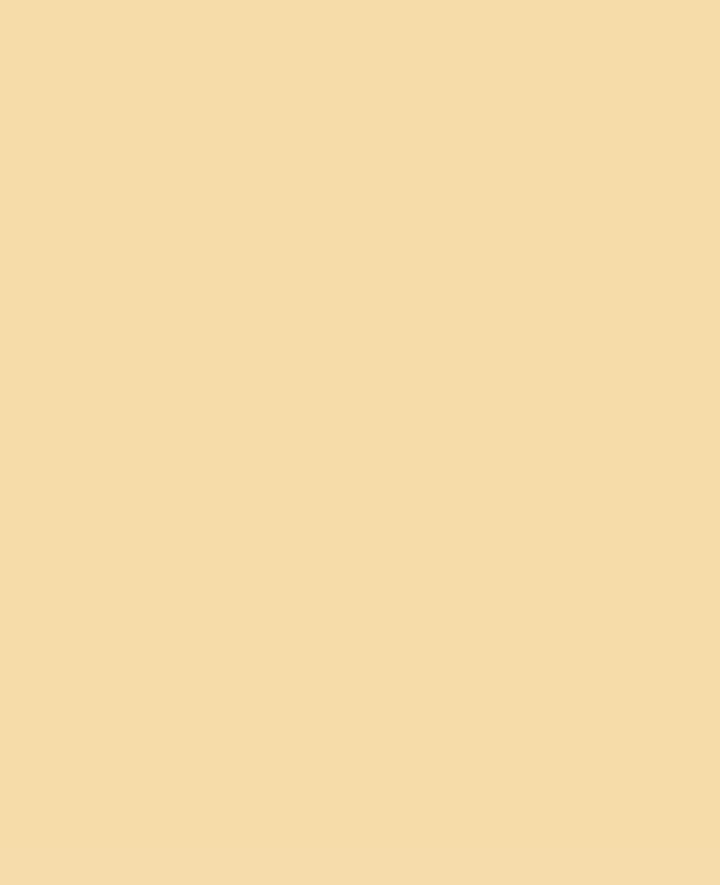 Triton Acrylic Liquid, auf Wasserbasis, Beige, 750 ml