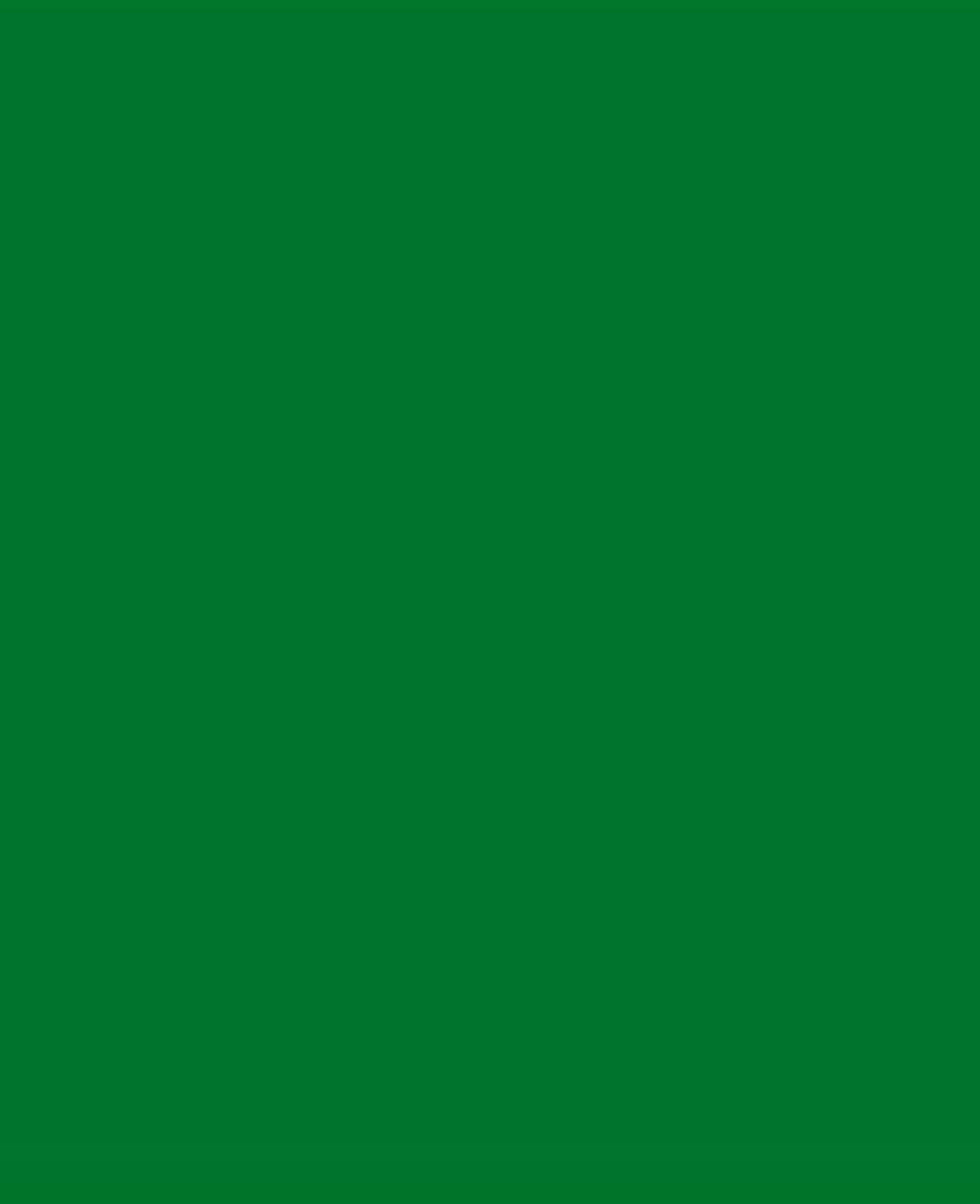 SOLO GOYA Triton Acrylic Paint Marker 1.4 Leaf Green