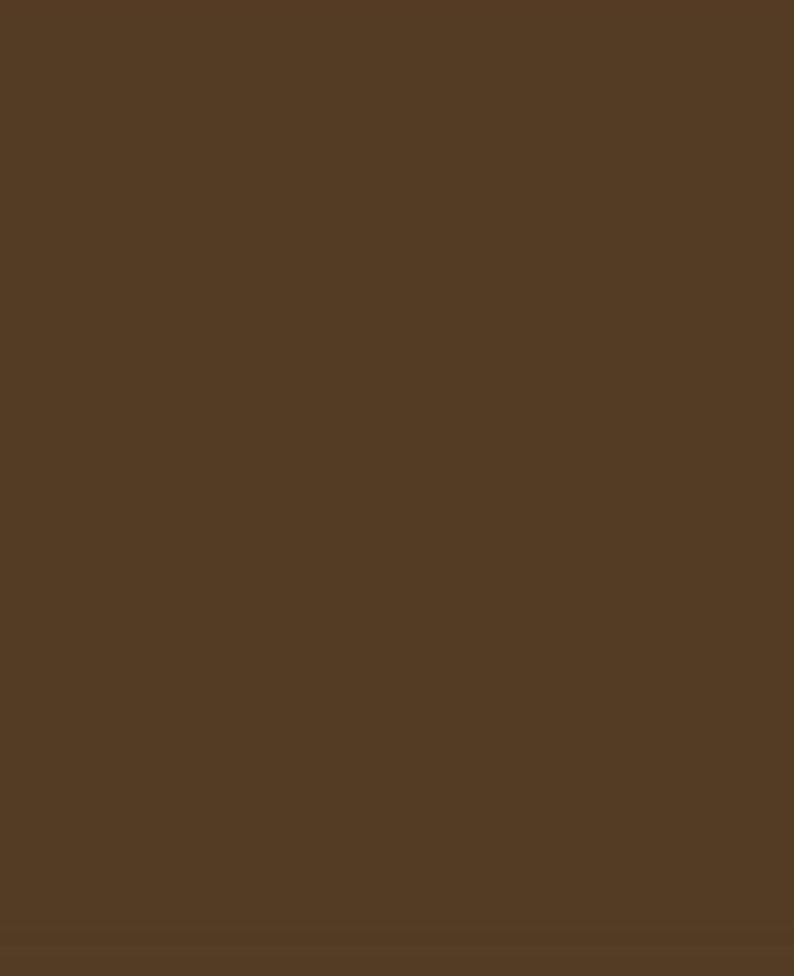 SOLO GOYA Marqueur peinture acrylique Triton 1.4 Brun Havane