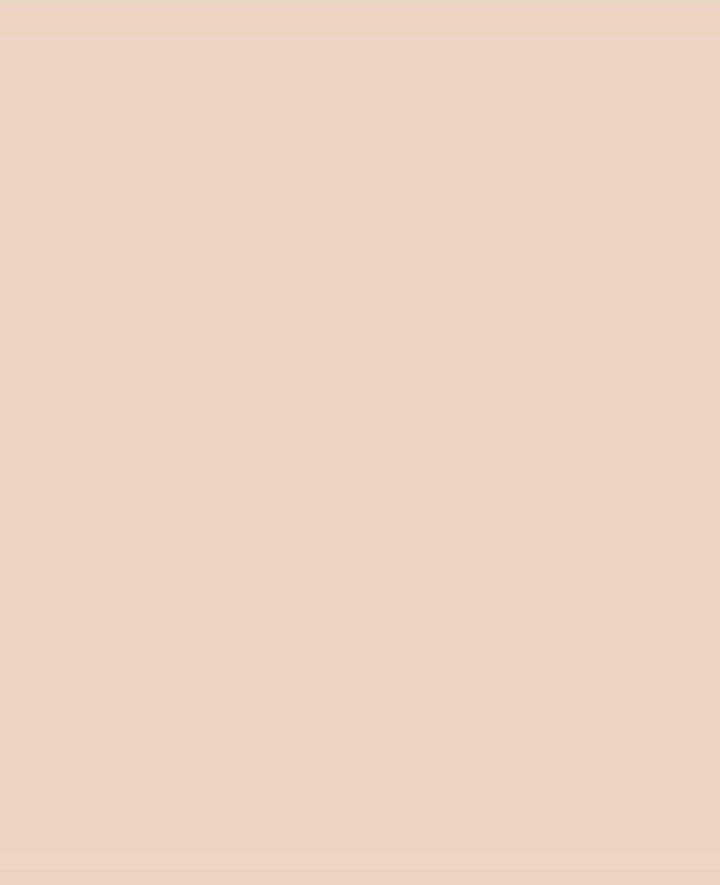 SOLO GOYA Triton Acrylic Paint Marker 1.4 Beige