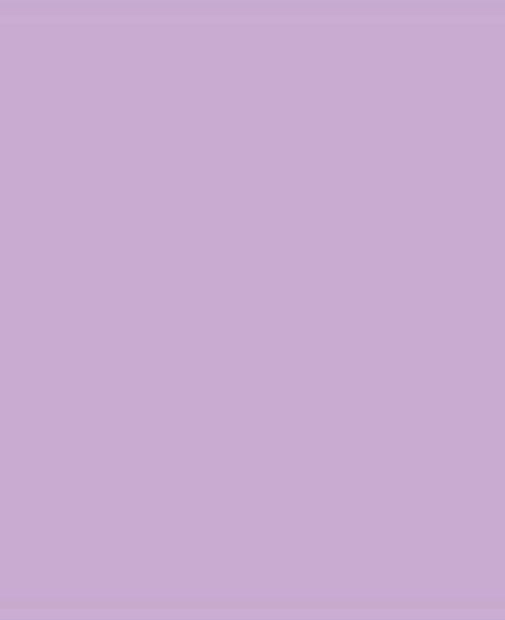 SOLO GOYA Triton Acrylic Paint Marker 1.4 Lilac