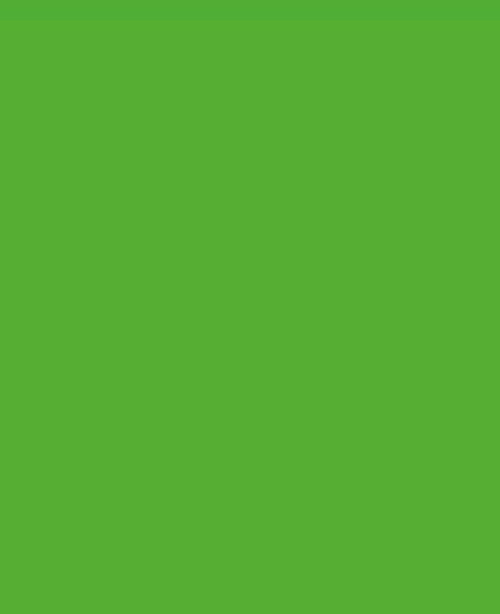 SOLO GOYA Triton Acrylic Paint Marker 1.4 Fluorescent Green
