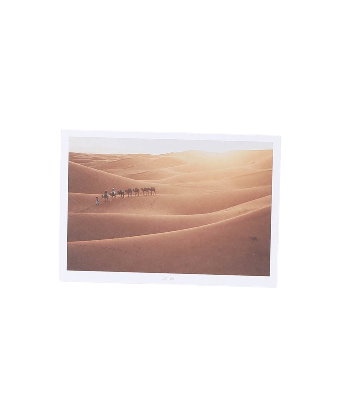 Postkarte, Wüste