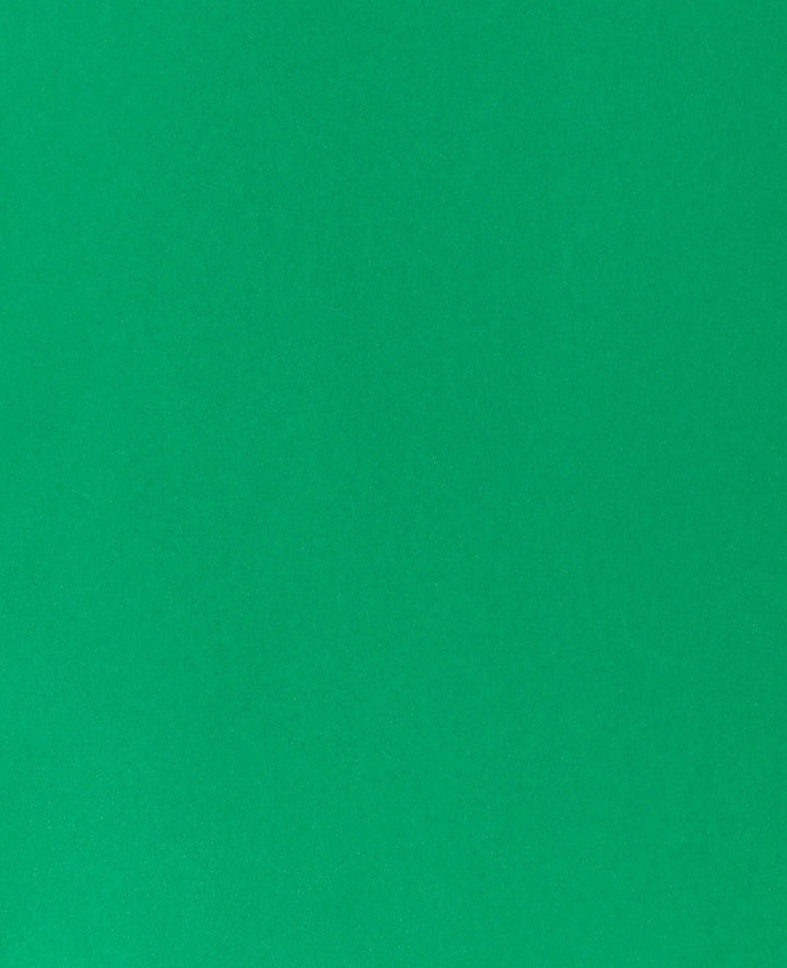 Construction paper 50 x 70 cm, fir green