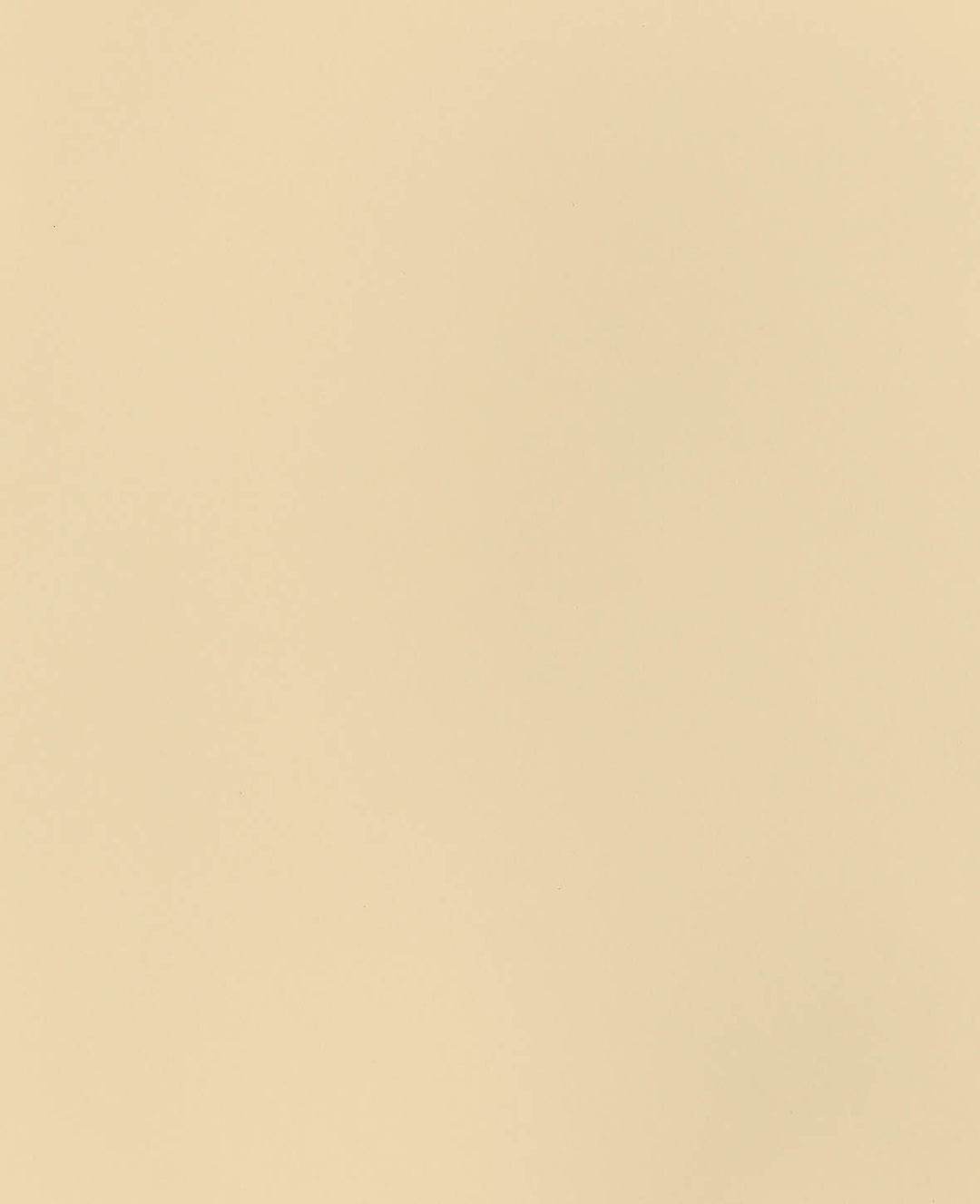 Photo Card, Cream, 50 x 70 cm, 270 gsm, 1 sheet