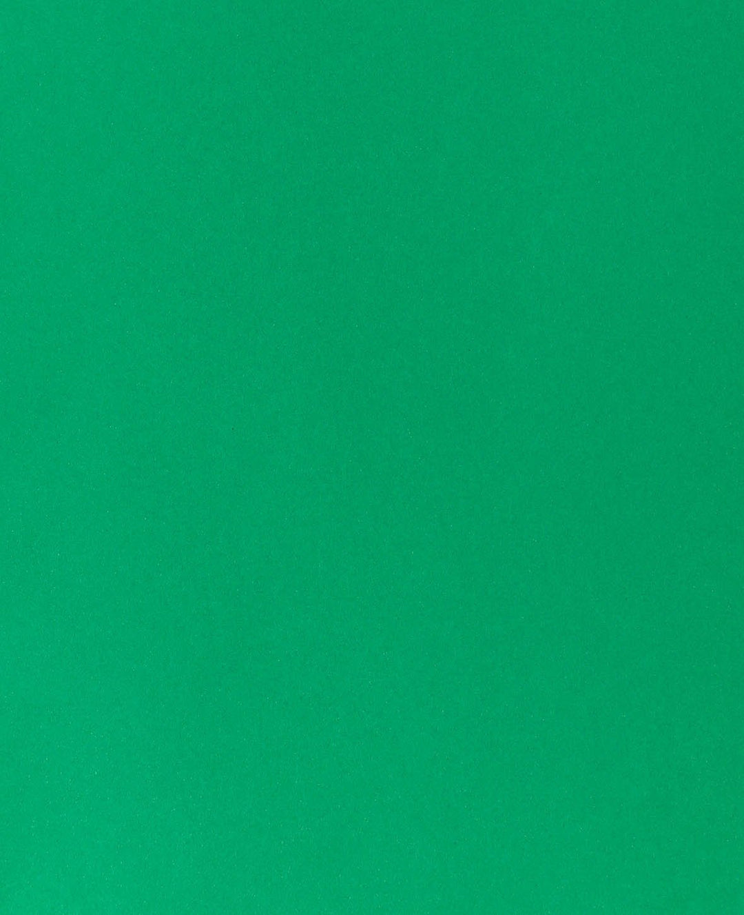 Photo cardboard, fir green, 50 x 70 cm, 270 g/m², 1 sheet