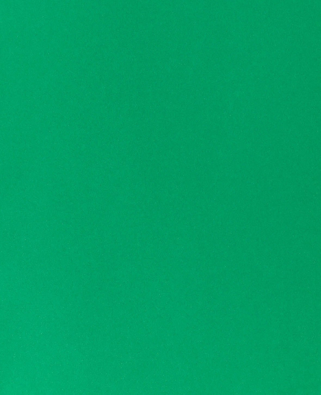 Construction paper 210 × 297 mm (A4), fir green