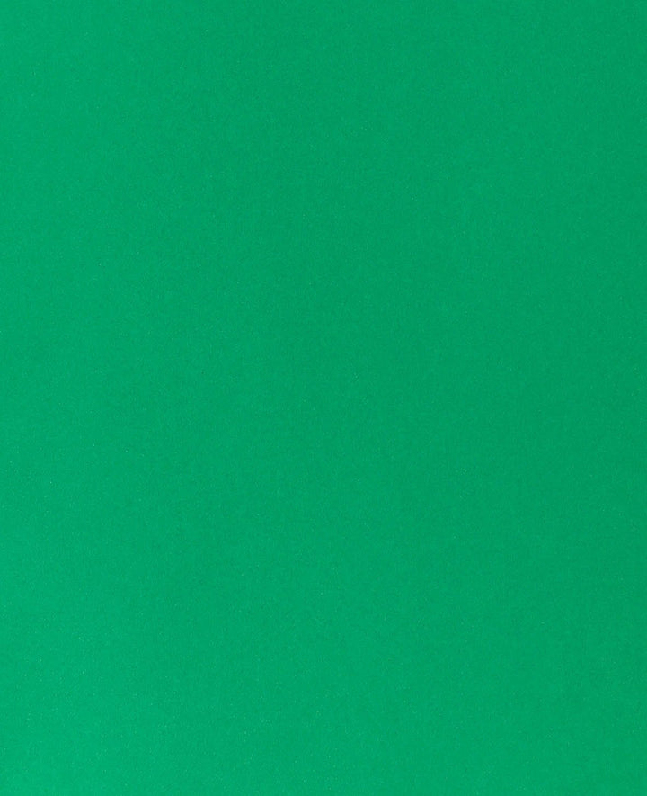 Construction paper 210 × 297 mm (A4), fir green