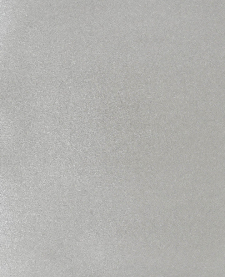 Papier couleur 210 × 297 mm (A4), argent