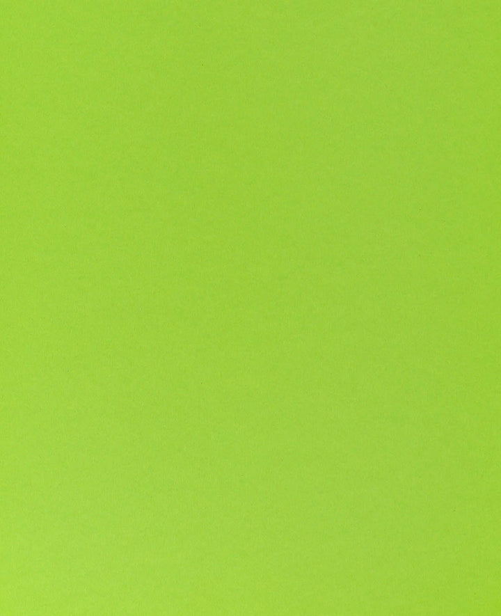 Photo cardboard, grass green, 210 × 297 mm (A4), 270 g/m², 1 sheet