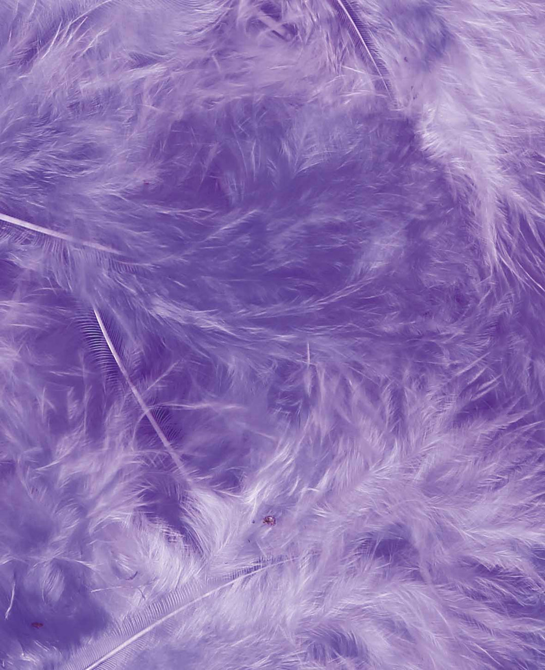 Decorative Feathers, Purple, 8 cm, 15 pcs.