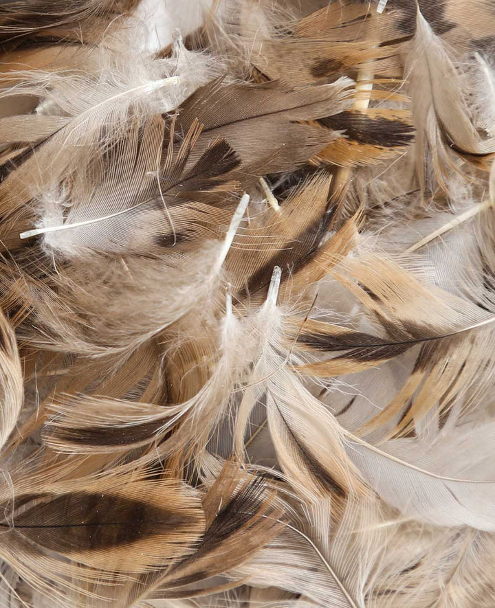 Decorative Feathers, natural tones, 5 - 8 cm
