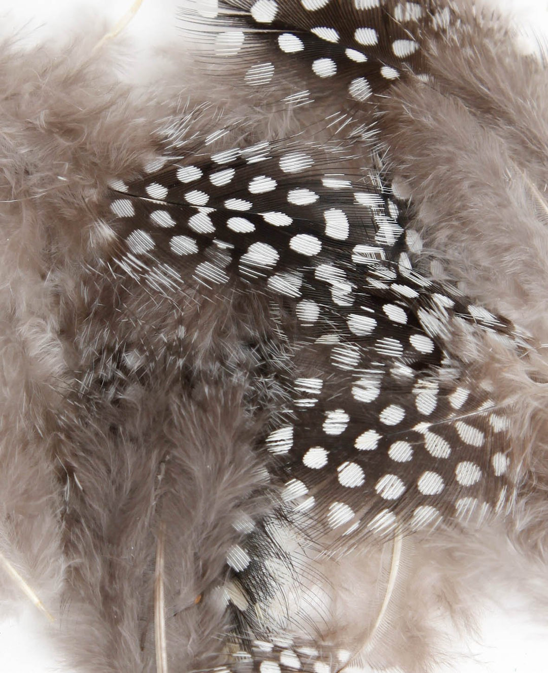 Guinea fowl feathers natural, 8 cm, 15 pcs.