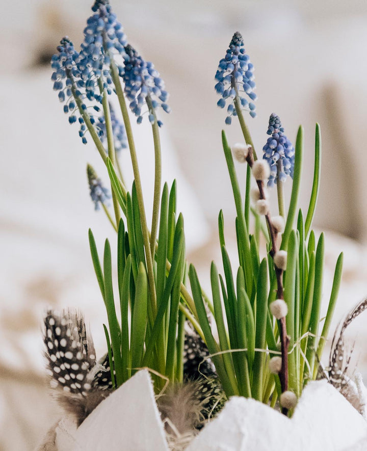Plumes décoratives, mélange pastel, 5 - 8 cm
