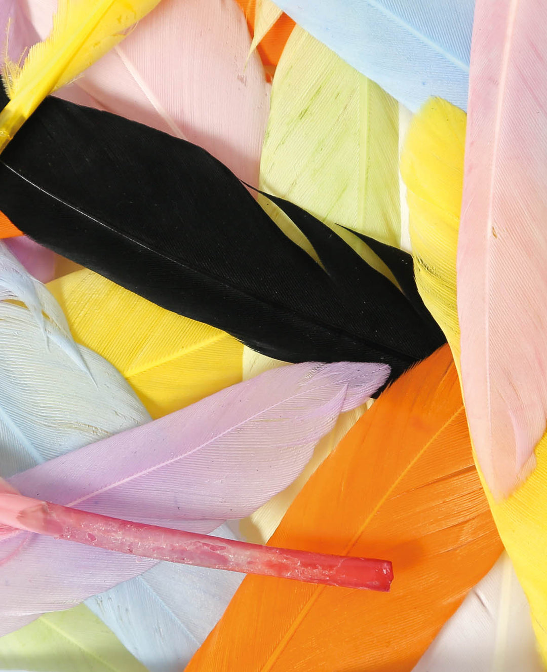 Decorative feathers, pastel colors, approx. 12-15 cm, 48 pieces