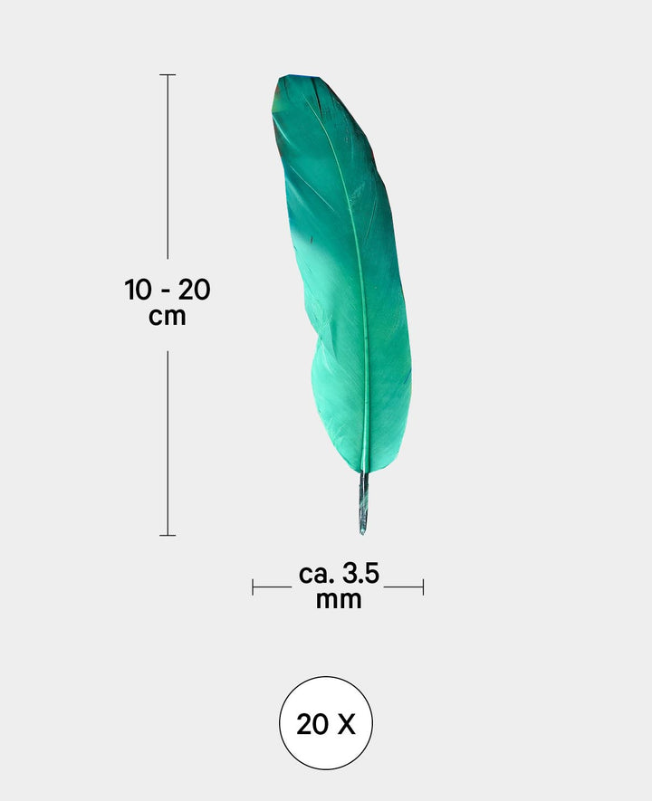 Schmuckfedern, bunt, ca. 10-20 cm, 20 Stk.