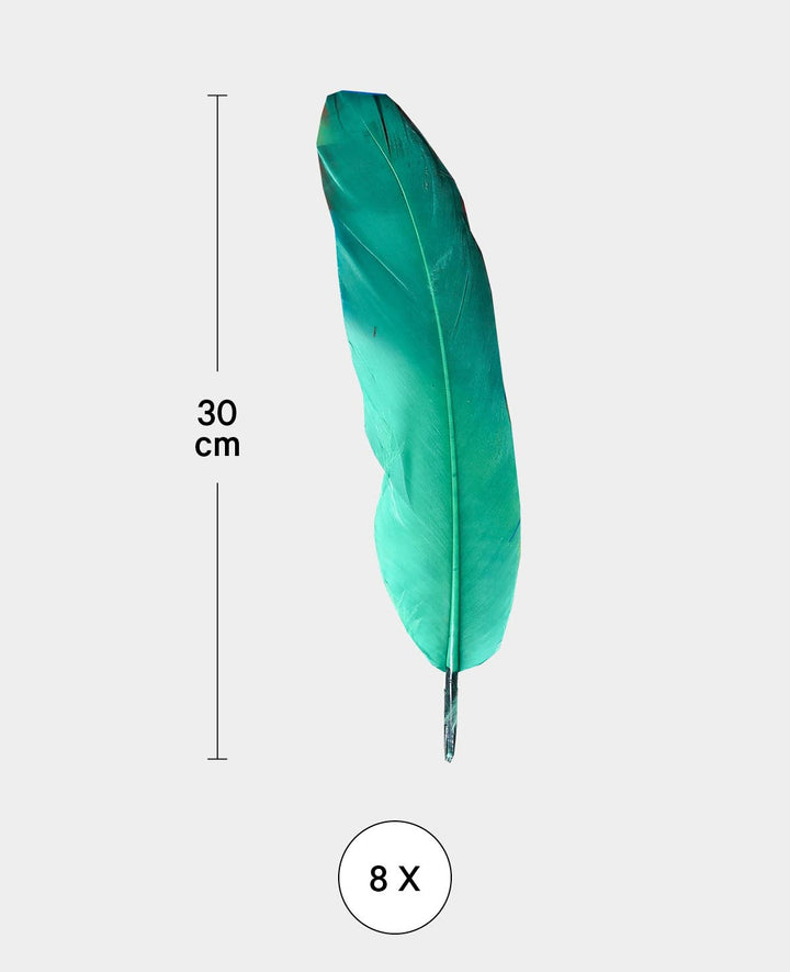 Plumes décoratives Jumbo, couleurs assorties, env. 30 cm, 8 pces