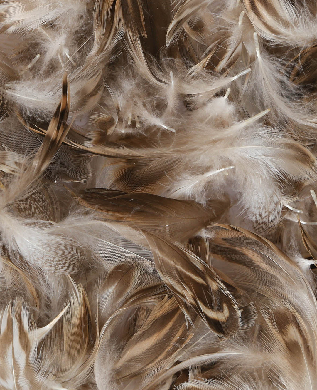 Mélange de plumes I 5 - 10 cm, naturel