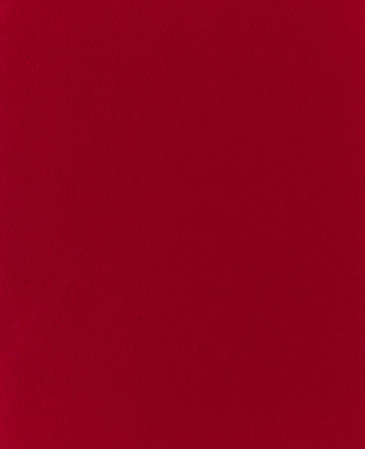 Filz, Rot, 20 x 30 cm x 1 mm, 1 Stück