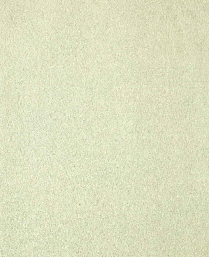 Filz, 20 x 30 cm x 1 mm, Pastellgrün, 1 Stück