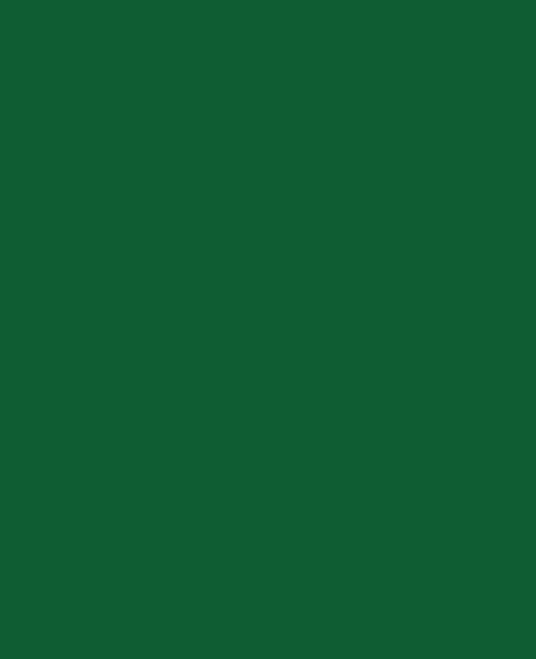 KREUL Window Color, Dunkelgrün, 80 ml