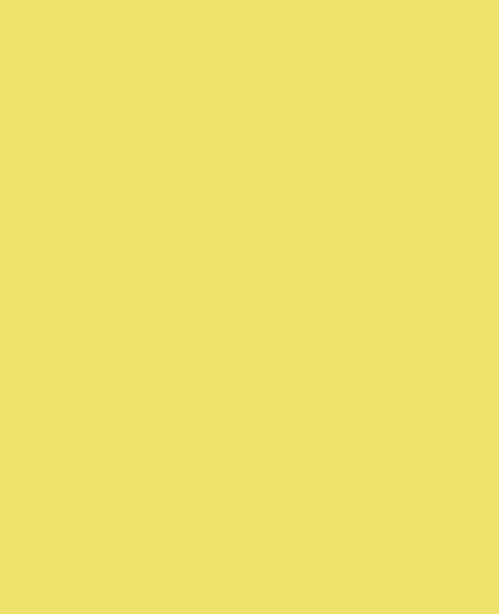KREUL Window Color, Leucht-Gelb, 80 ml