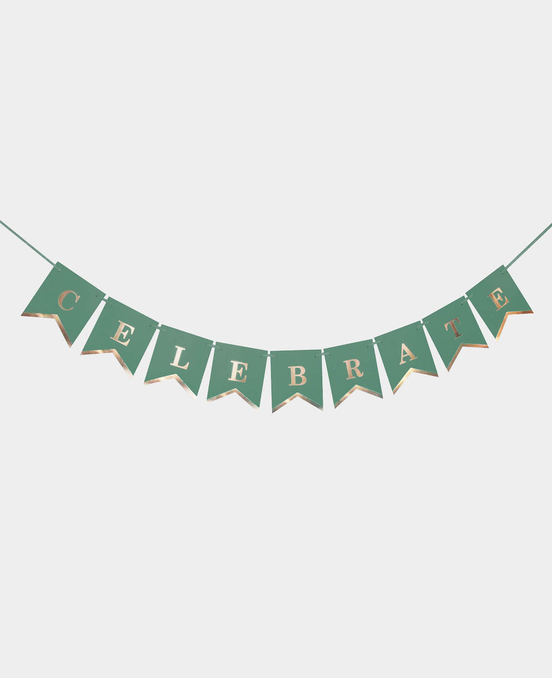Mini pennant garland Celebrate mint, 2 m