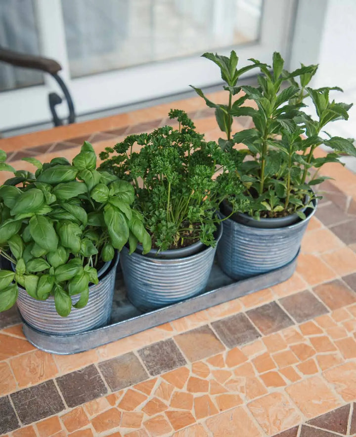 Lot de pots en fer-blanc, gris argenté, 40 x 12 cm, 1 lot de 3 pots