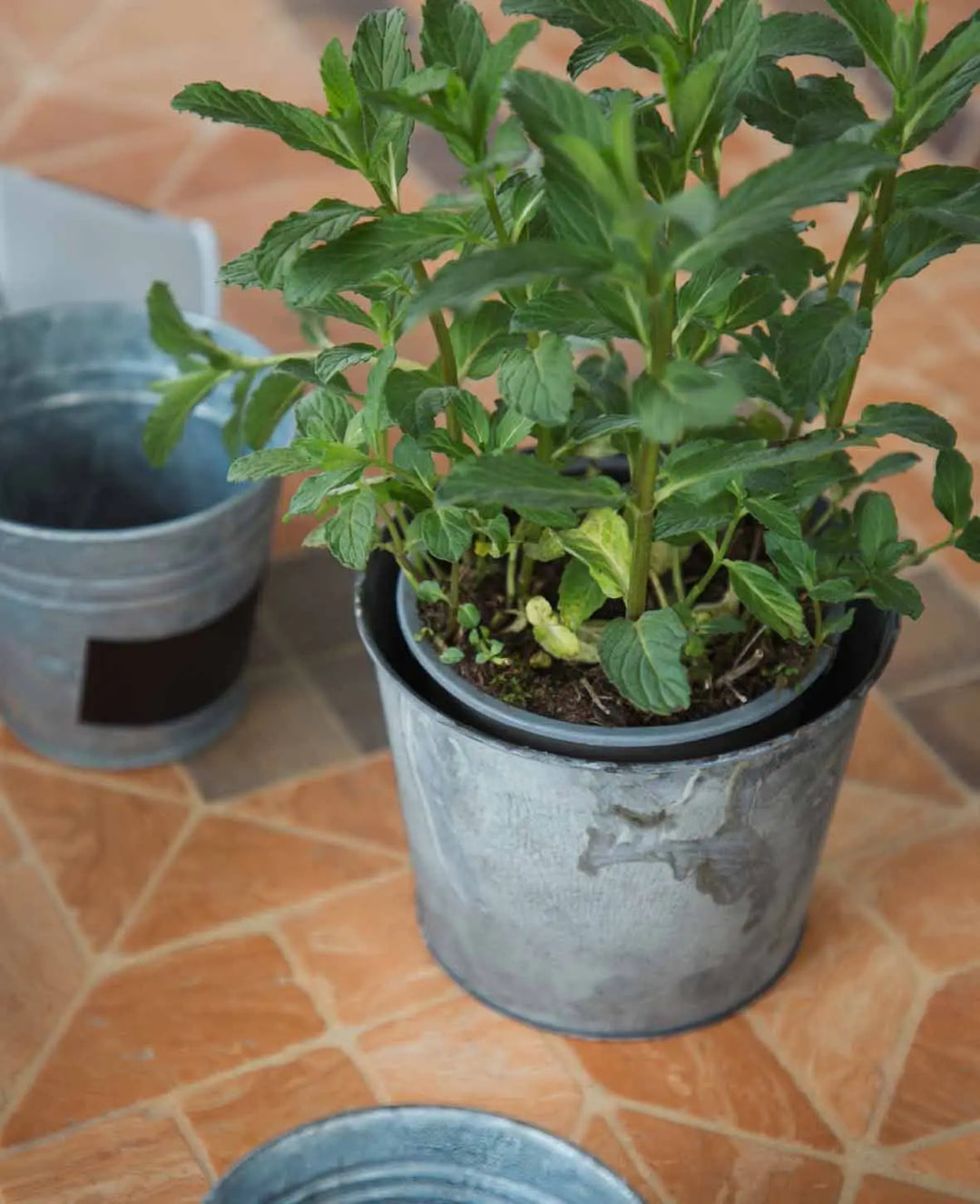 Kräutertopf Ø 14 cm, Silber