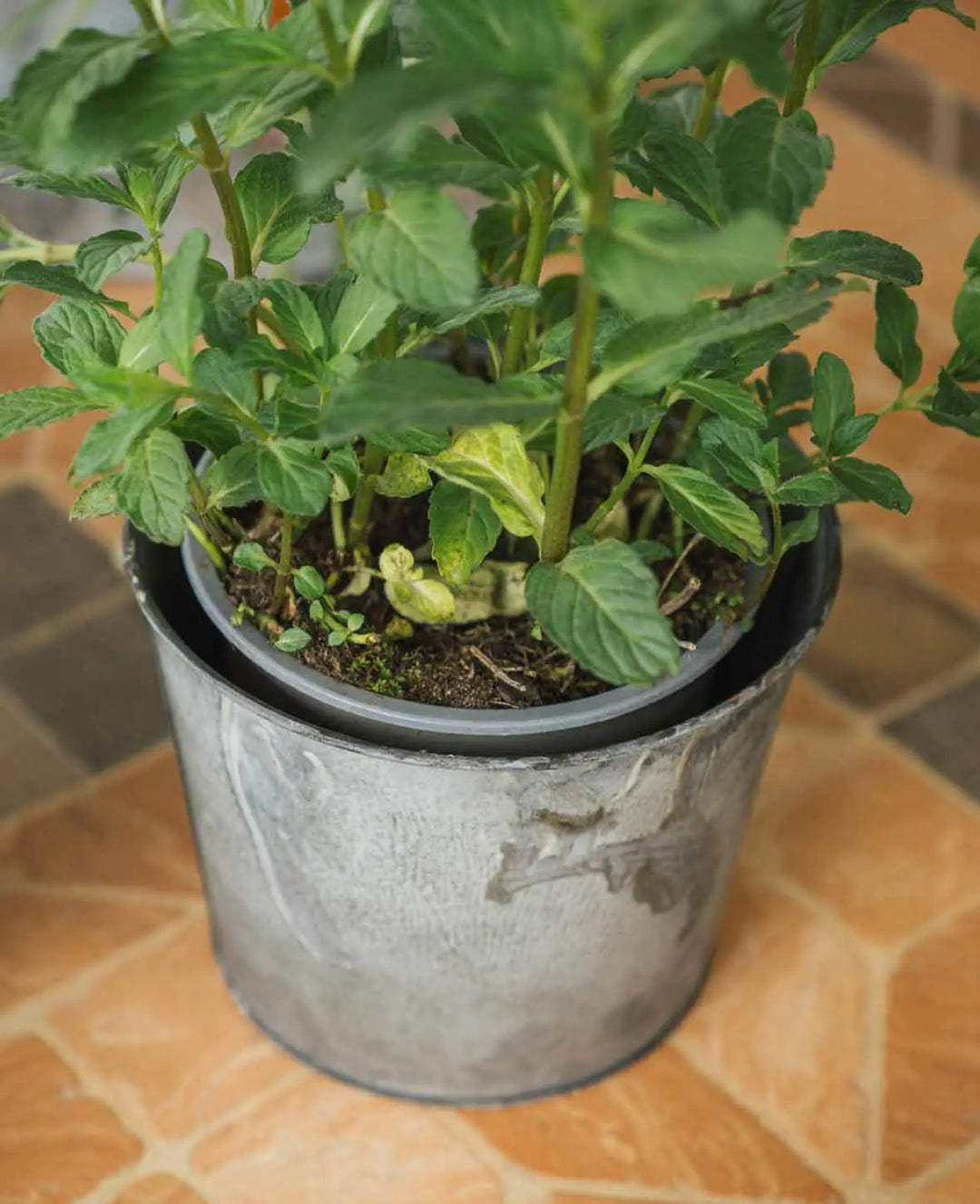 Kräutertopf Ø 14 cm, Silber