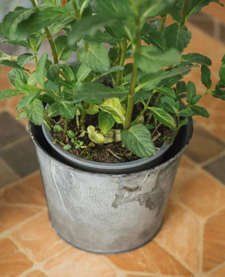 Kräutertopf Ø 14 cm, Silber