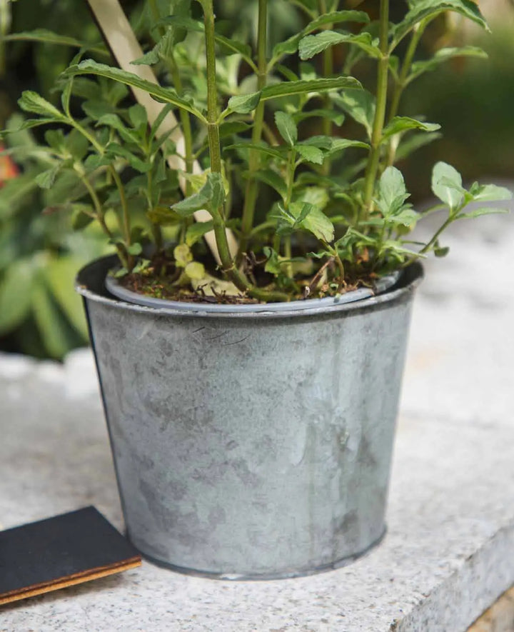 Kräutertopf Ø 14 cm, Silber