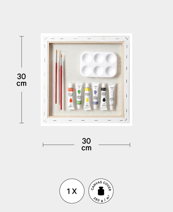 Keilrahmen Set inkl. Farbe, 30 x 30 cm, Leinwand Set mit 2 Pinseln, 6 Acryl Farbtuben, Weiss, 10 teilig
