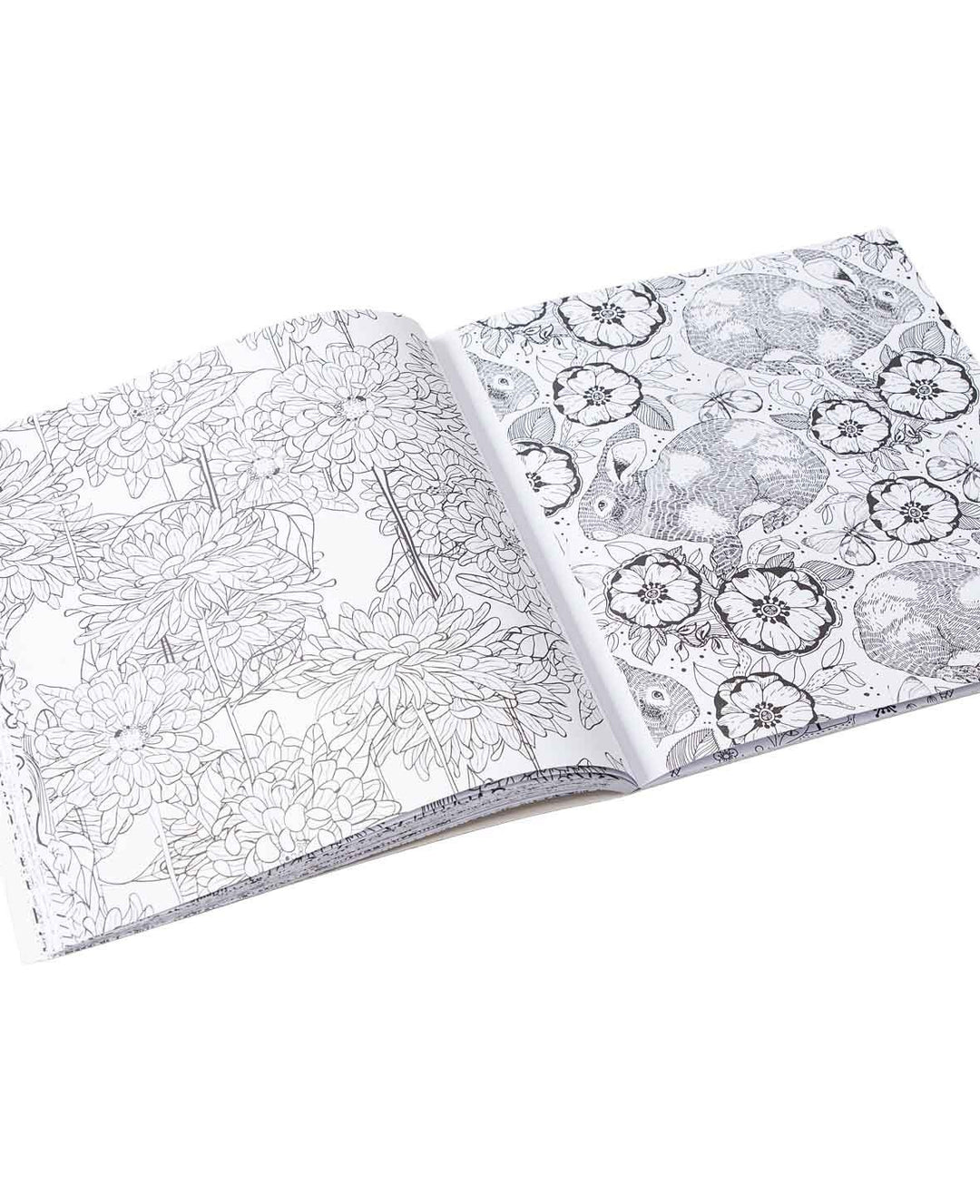 Forest Life Colouring Book, FSC-certified paper, 19.5 × 23 cm, 64 pages