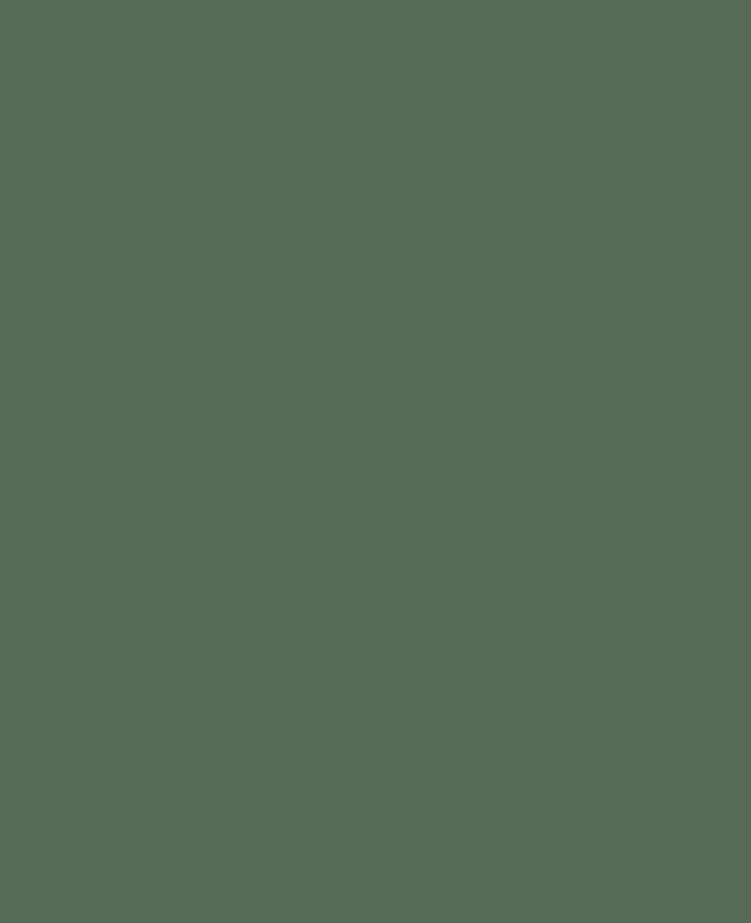 KREUL Peinture acrylique mate, Vert russe, 20 ml