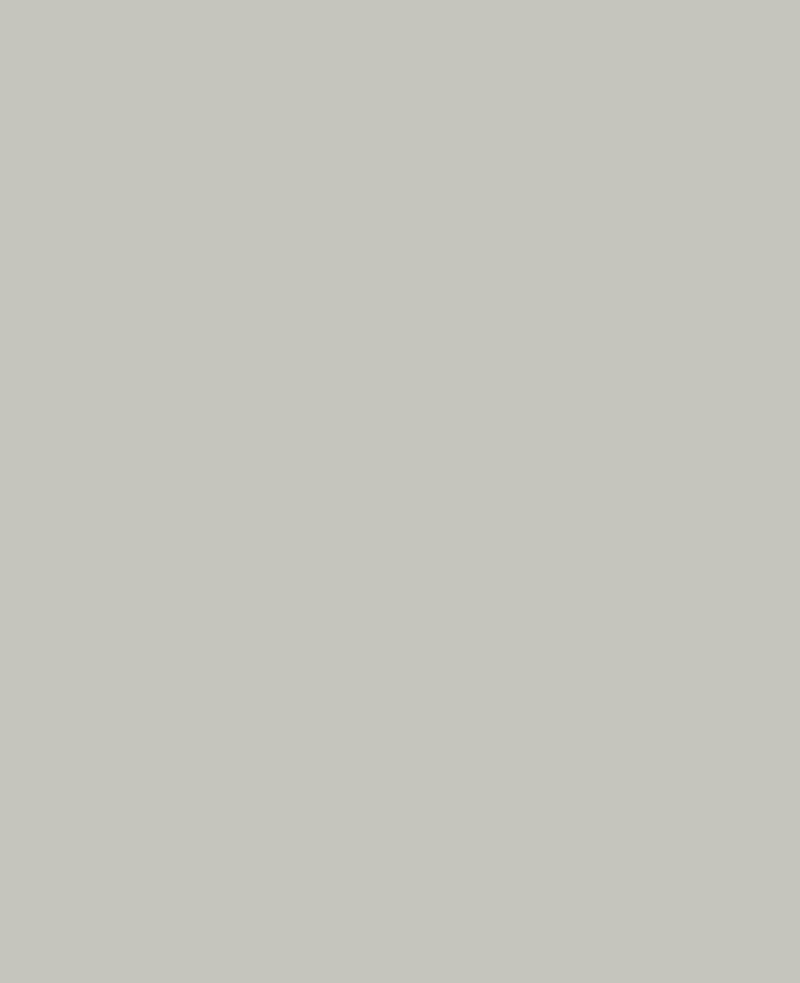 KREUL Acrylic Matt Paint, Silver, 20 ml