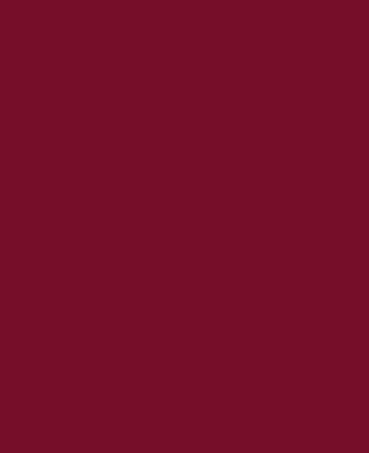 KREUL Acrylic Matt Paint, Wine Red, 20ml