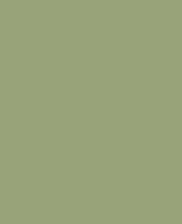 KREUL Chalky Kreidefarbe, Velvet Olive, 150 ml